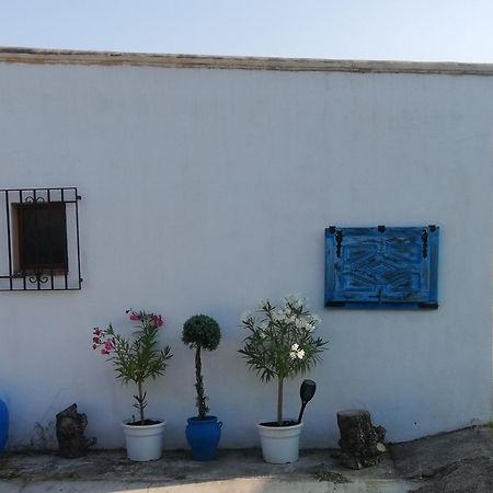 Country Side Loft Apartment Valencia Ruang foto