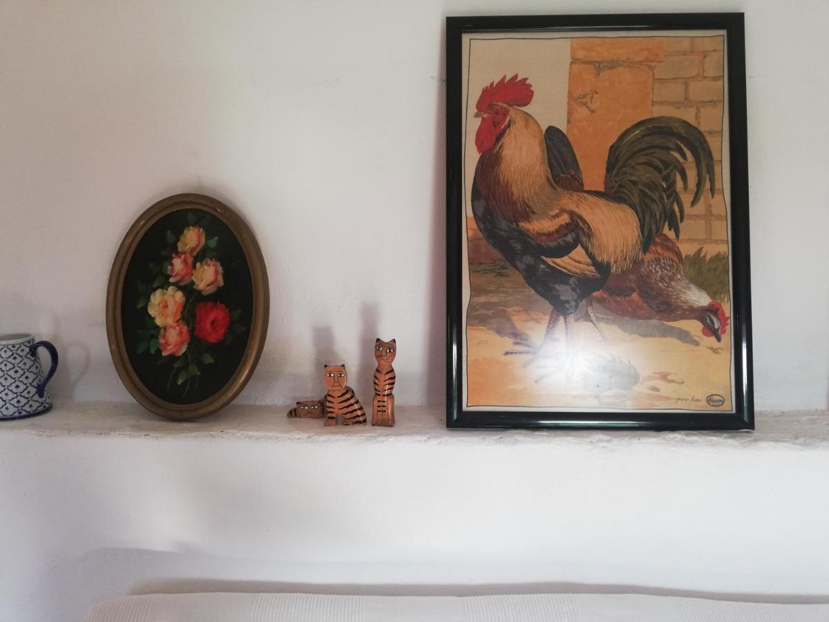 Country Side Loft Apartment Valencia Bagian luar foto