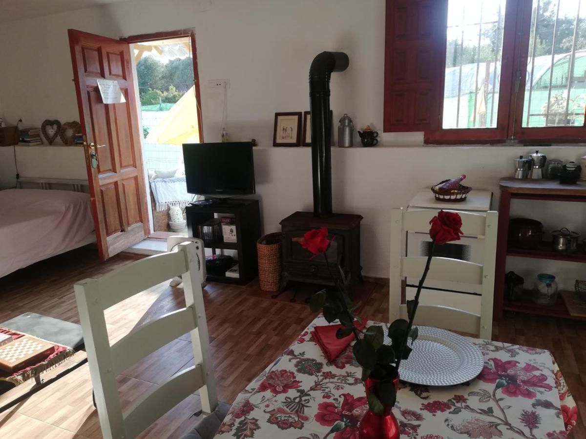 Country Side Loft Apartment Valencia Bagian luar foto