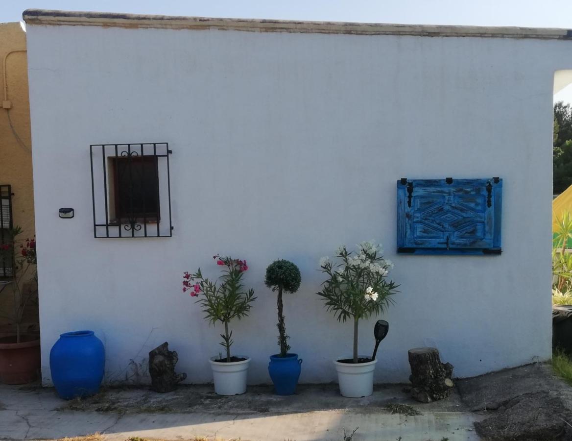 Country Side Loft Apartment Valencia Bagian luar foto